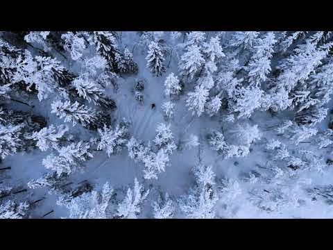 Stora Stenen Friluftsområde(December 2019)