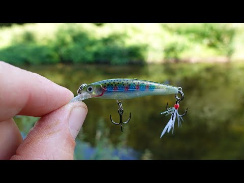 These Micro Crank Baits Got Crushed! Possible PB!