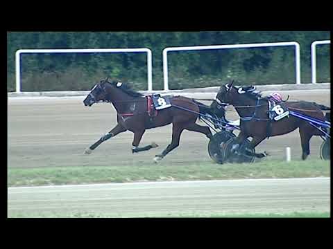 Napoli Trotto 10/09/2021 - 7ª corsa