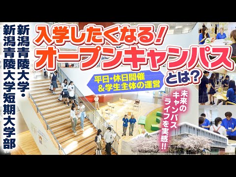 【入学したくなるオープンキャンパス】平日・休日開催&学生主体の運営で未来のキャンパスライフを実感【新潟青陵大学・新潟青陵大学短期大学部】