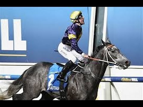2015 MVRC Manikato Stakes
