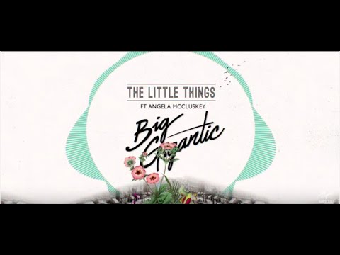 Big Gigantic - The Little Things ft. Angela McCluskey (Official Lyric Video)