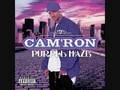 Cam'ron (Feat. JR Writer) - Shake