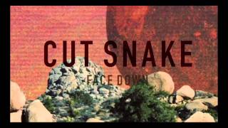 Cut Snake - Face Down [Animated Video]