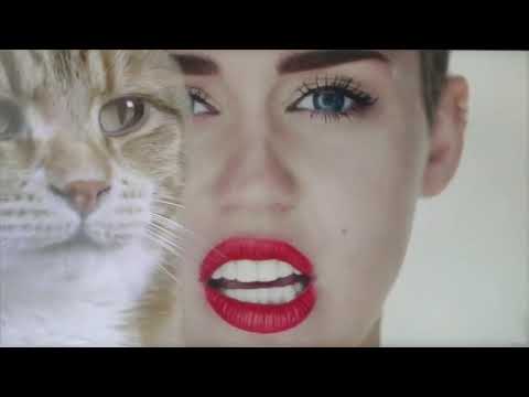 Keyboard Cat & Charlie Demo