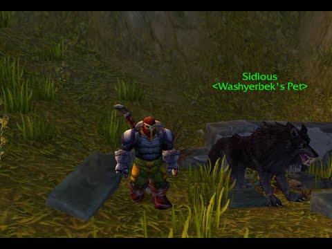 1v1 Survival Hunter VS Rogue STV (Turtle WoW)