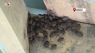 ‘Gördüğün Yerde Yok Et’