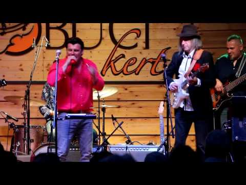 Mátyás Pribojszki Band - Can't Make You Stay