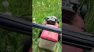 Sekáni a kosení trávy 1 m2