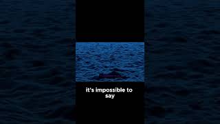 Earthquakes and Volcanism  The Moon's Deadly Squeeze!