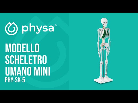 Figurina Marie Mini Enesco In Resina PVC - 4x6x6 Cm, Multicolore, Idea Regalo - Foto 7