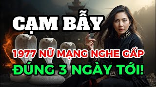 Sim Card Compatible with Dinh Ty 1977 Female: Exactly 3 Days From Now The Truth Will Be Revealed!...