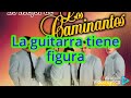 Los Caminantes - La Guitarra Y La Mujer letra
