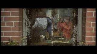 A swarm of killer bees is headed this way!