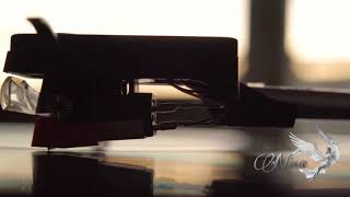 Fiorella Mannoia🎶 Chissà da dove arriva una canzone 🎶