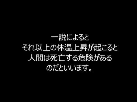 日陰で42度:人はどれくらいの暑さに耐えれば死なないでしょうか?
