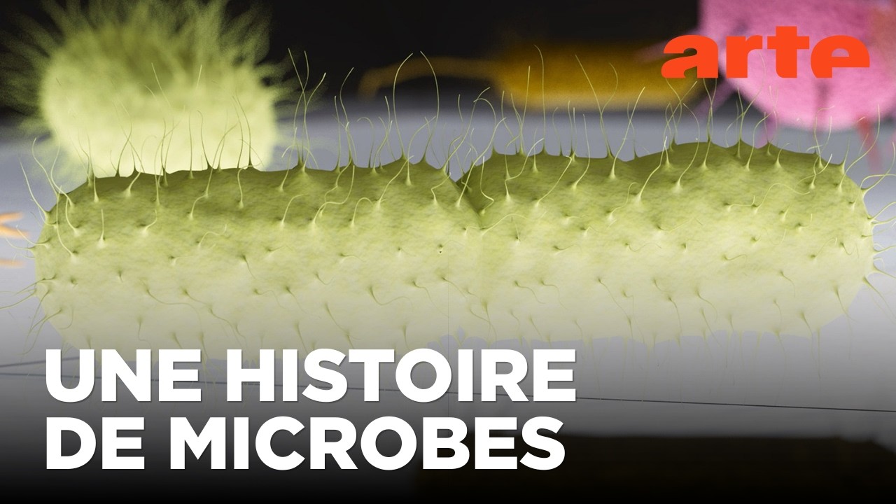 Virus et bactéries : petits mais costauds | Déclics | ARTE