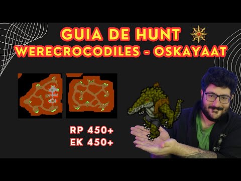 Guia de Hunt - Werecrocodiles | RP e EK 450+ | Tibia