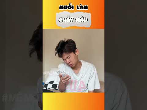 muỗi làm chảy máu | Mê Mò Mẫm