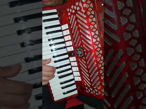 Akkordeon Serenellini Logato