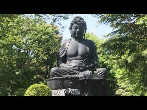 Tokyo Daibutsu (the giant Buddha of Tokyo) at Jorenji Temple