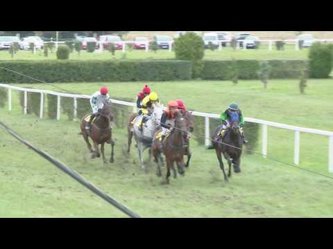 BR, 5. 10. 2019, 6. dostih - CENA FIRMY KOKITECH z fondu podpora 2019 - Podzimní moravská míle