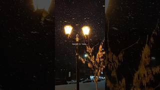 Download lagu Parindo Ki Tarah Ye Dil Hai Safar Me❤️✨| Baarish by Atif Aslam | Whatsapp Status #shortvideo #shorts mp3