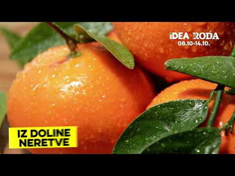 IDEA | Nedeljna ponuda 08-14.10.2021.