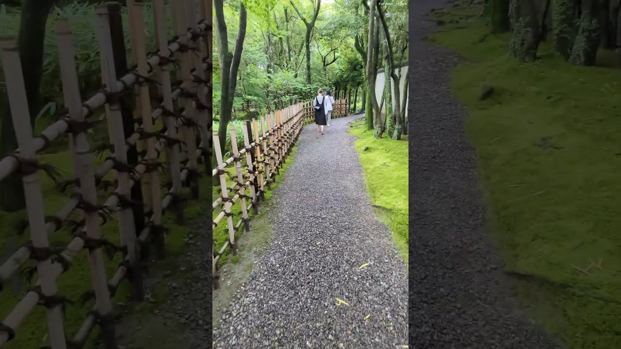 YouTube Short thumbnail