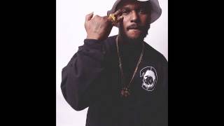ScHoolboy Q - She Like