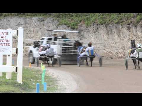 Harness Pony Racing Bermuda November 13 2011
