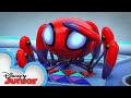 Trace E Shake Music Video Marvel S Spidey And His Amazing Friends Disneyjunior
