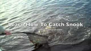 preview picture of video 'Learn To Catch Snook - Become A Snook Fishing Expert'