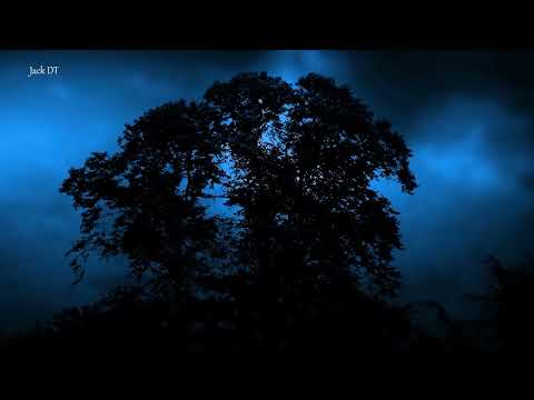 SILNÁ BÚRKA , PADANIE DAŽĎA A BLESKY