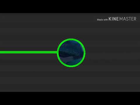 Tropa delas | Música de todo