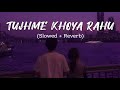Tujhme Khoya Rahu Main Lofi Song || Hindi Song 🎶
