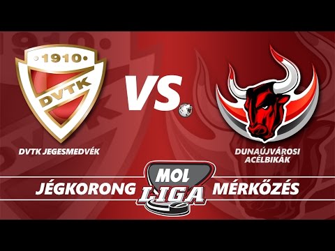 DVTK Jegesmedvék - Dunaújvárosi Acélbikák