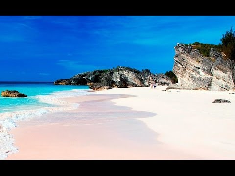 Pink Sands Beach, Bahamas - Розовый пляж