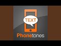 Professional Business Alert Tone Elegant Melody Minimalistic Ringtone SMS Text