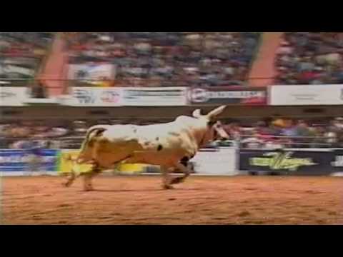 Buffalo Head bucks Adam Carrillo - 04 PBR Fort Worth