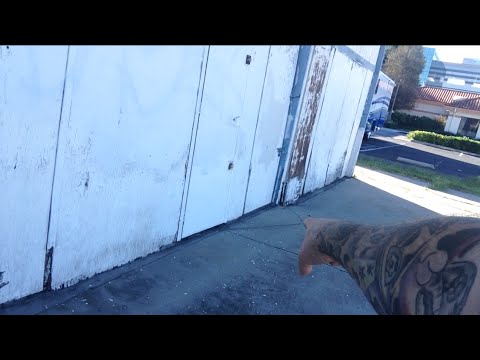 TDW 1197 - Watch Out For Snakes ! LOST MY MIND