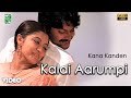 Kalai Aarumpi Official Video Kana Kanden Vidyasagar Vairamuthu Srikanth Gopika