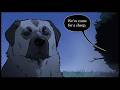 Why The Anatolian Shepherd Is A Badass
