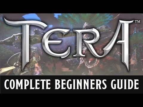 A beginners guide to TERA