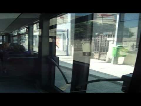 STCP - Veículo 2183 na linha 804