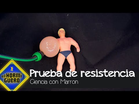 Javier Cámara alucina con el experimento de Marron con juguetes - El Hormiguero