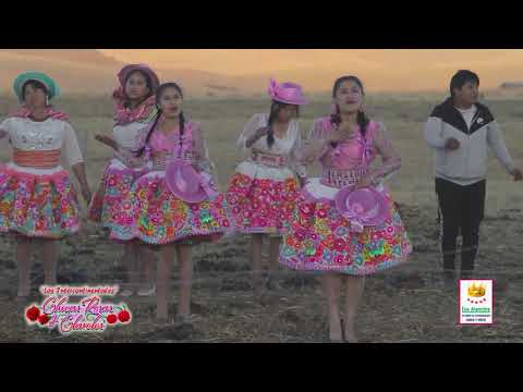 🌹🌹🌹CHICAS ROSAS Y CLAVELES - MUCHO CUIDADITO🌷🌷🌷PRIMICIA 2019