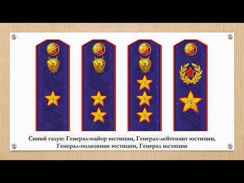 Знаки различия Следственного комитета РФ