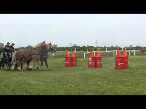 Kutschentreffen Schwarzbach