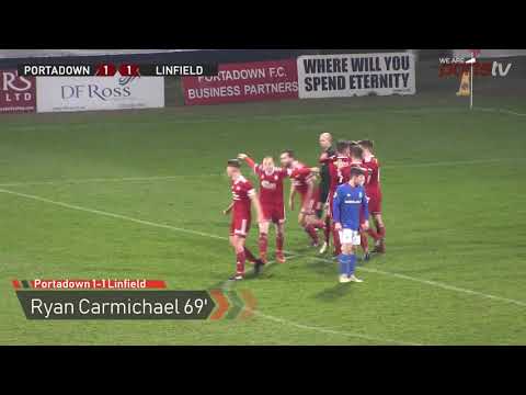 Portadown 1 - 2 Linfield Full Match Highlights - 04/12/18